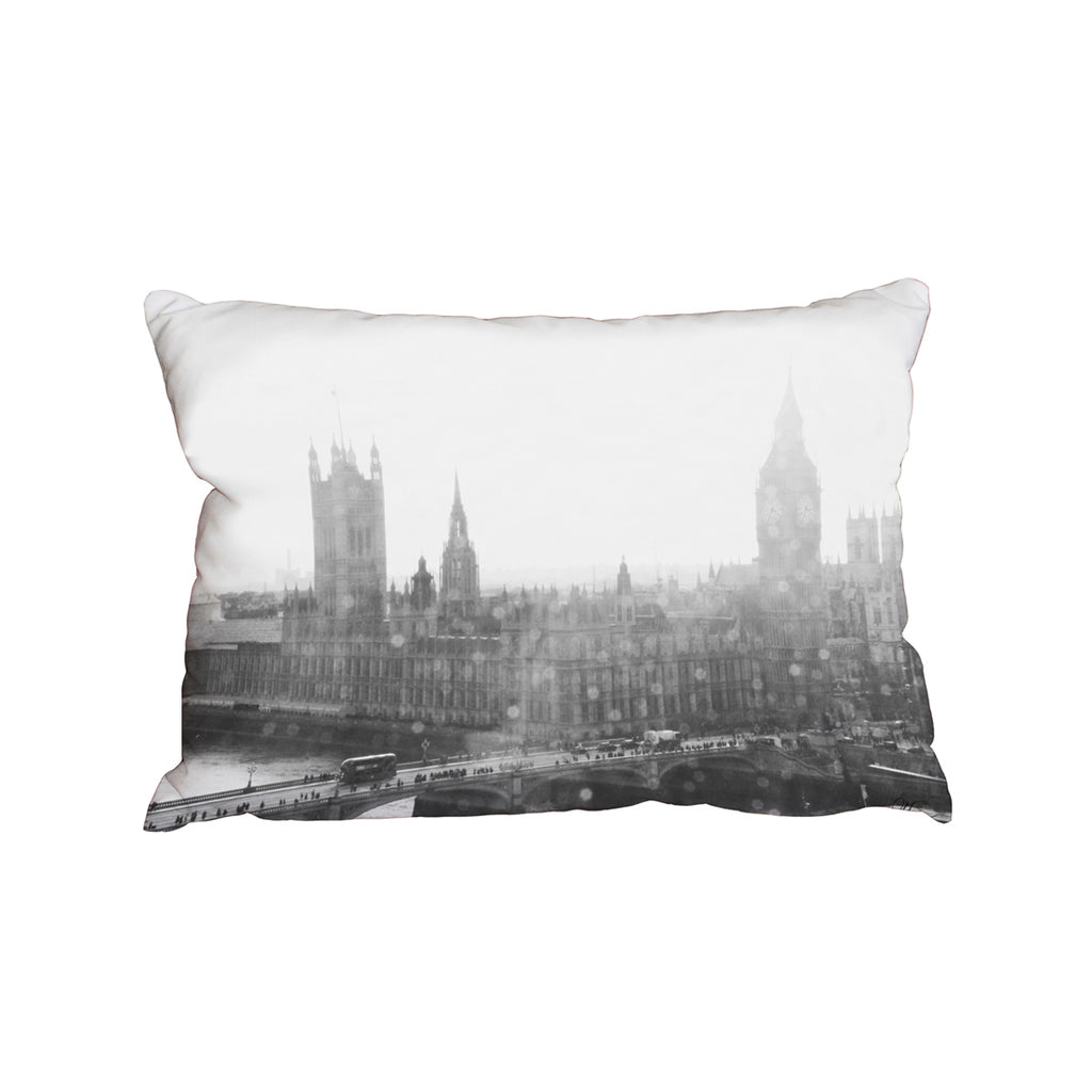 New Product Calming Ben (Cushion)  - Andrew Lee Home and Living
