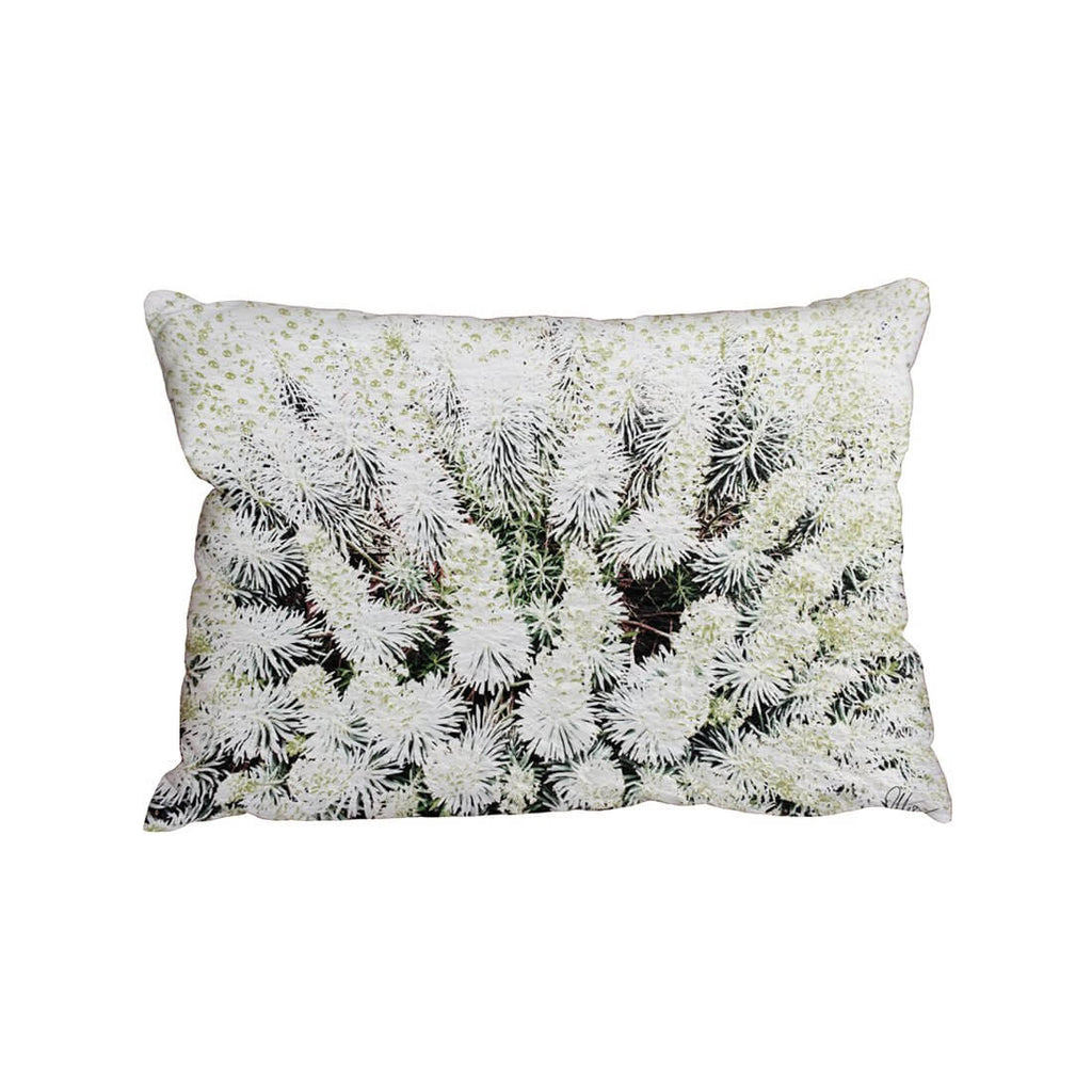New Product Beautifully White (Cushion)  - Andrew Lee Home and Living