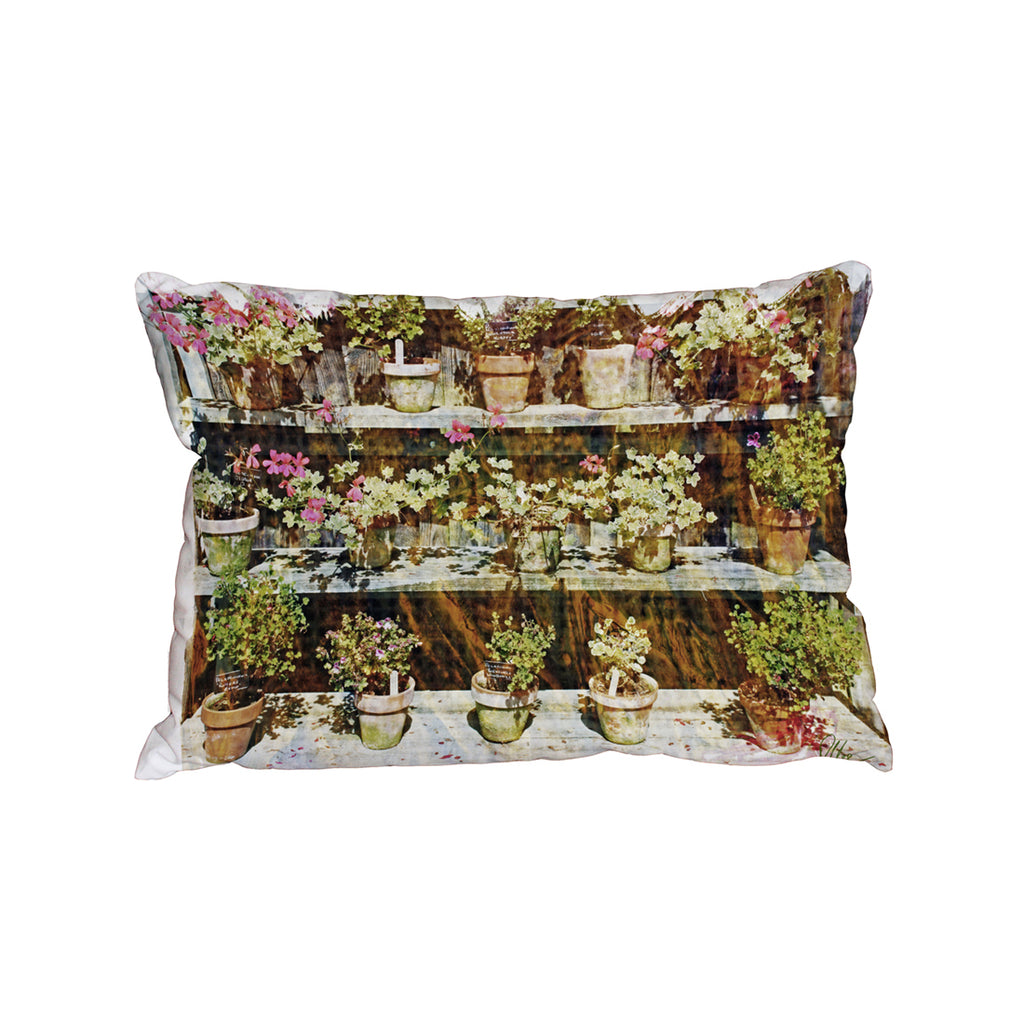 New Product plant pots (Cushion)  - Andrew Lee Home and Living
