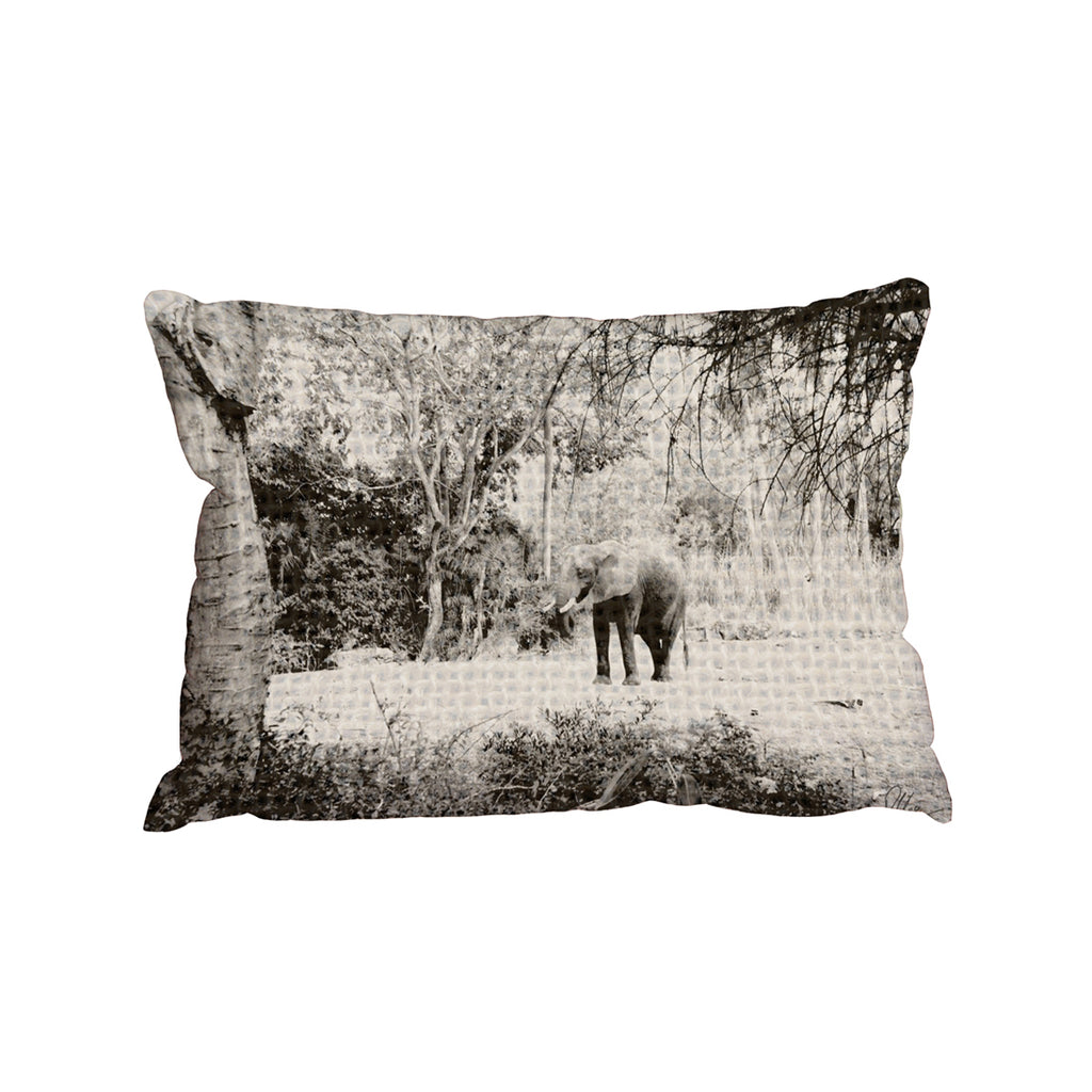 New Product Elephant jungle (Cushion)  - Andrew Lee Home and Living