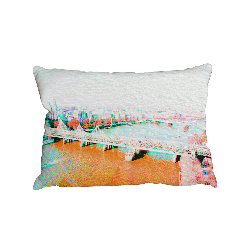 New Product LONDON EYE VEIW Orange (Cushion)  - Andrew Lee Home and Living