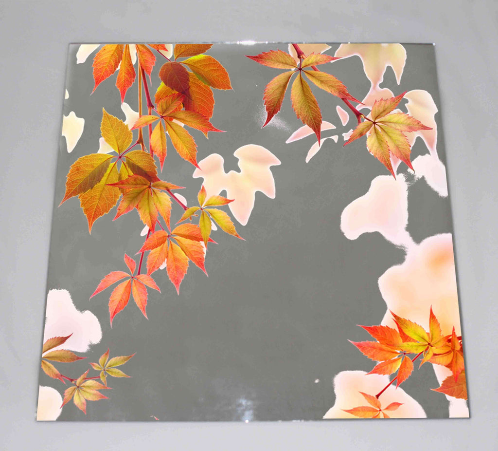 New Product Autumn leaves (Mirror Art print)  - Andrew Lee Home and Living