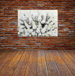 New Product Beautifully White  - Andrew Lee Home and Living Homeware