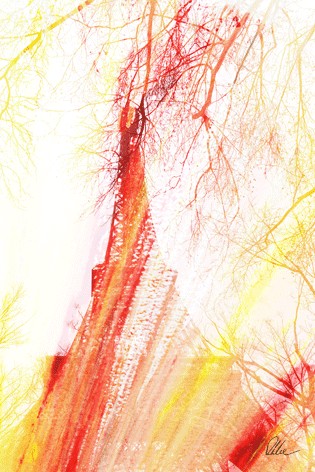 New Product Fury  - Andrew Lee Home and Living Homeware