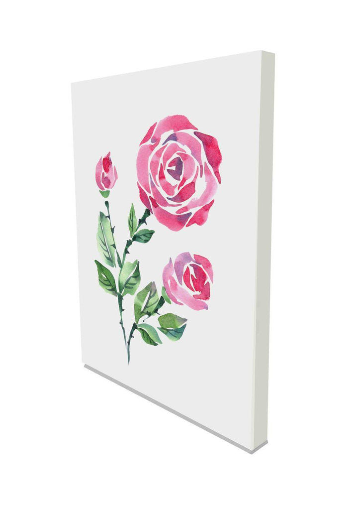 New Product Beautiful pink rose on a white background (Canvas Prints)  - Andrew Lee Home and Living Homeware