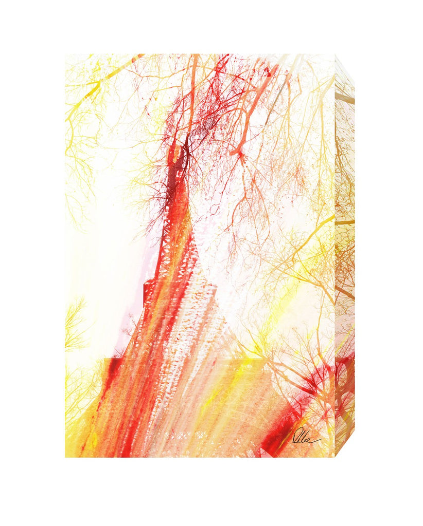 New Product Fury  - Andrew Lee Home and Living Homeware