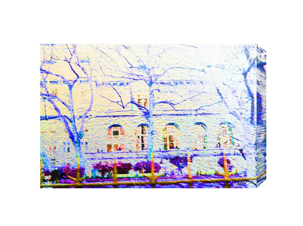 New Product Blue Tress  - Andrew Lee Home and Living Homeware