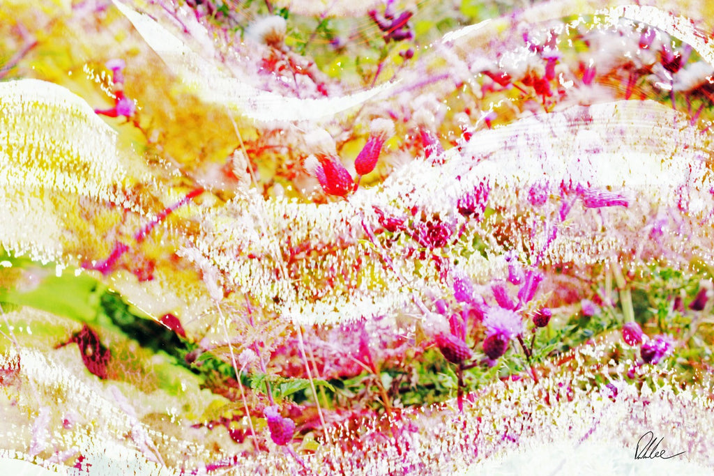 New Product Colour Wilderness  - Andrew Lee Home and Living Homeware