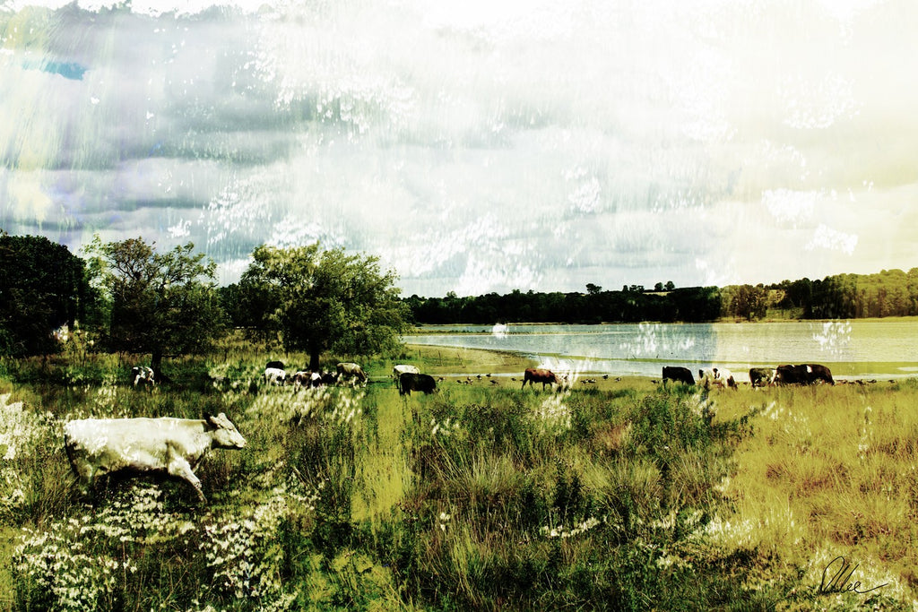 New Product Vintage Cow  - Andrew Lee Home and Living Homeware