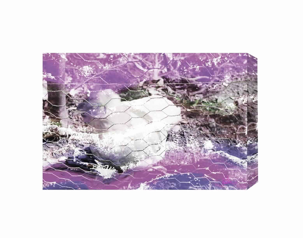 New Product CHICKHEN  - Andrew Lee Home and Living Homeware