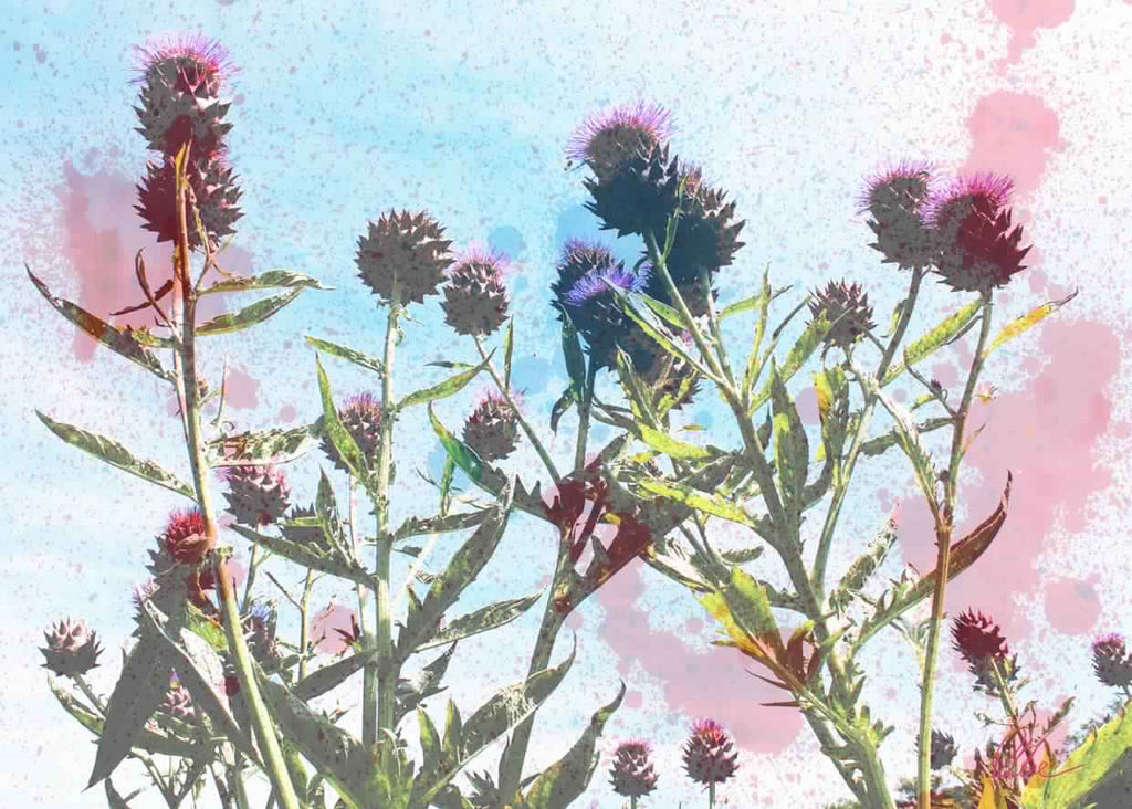 New Product Reaching for the sky  - Andrew Lee Home and Living Homeware