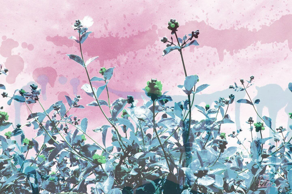 New Product Berry Sky  - Andrew Lee Home and Living Homeware
