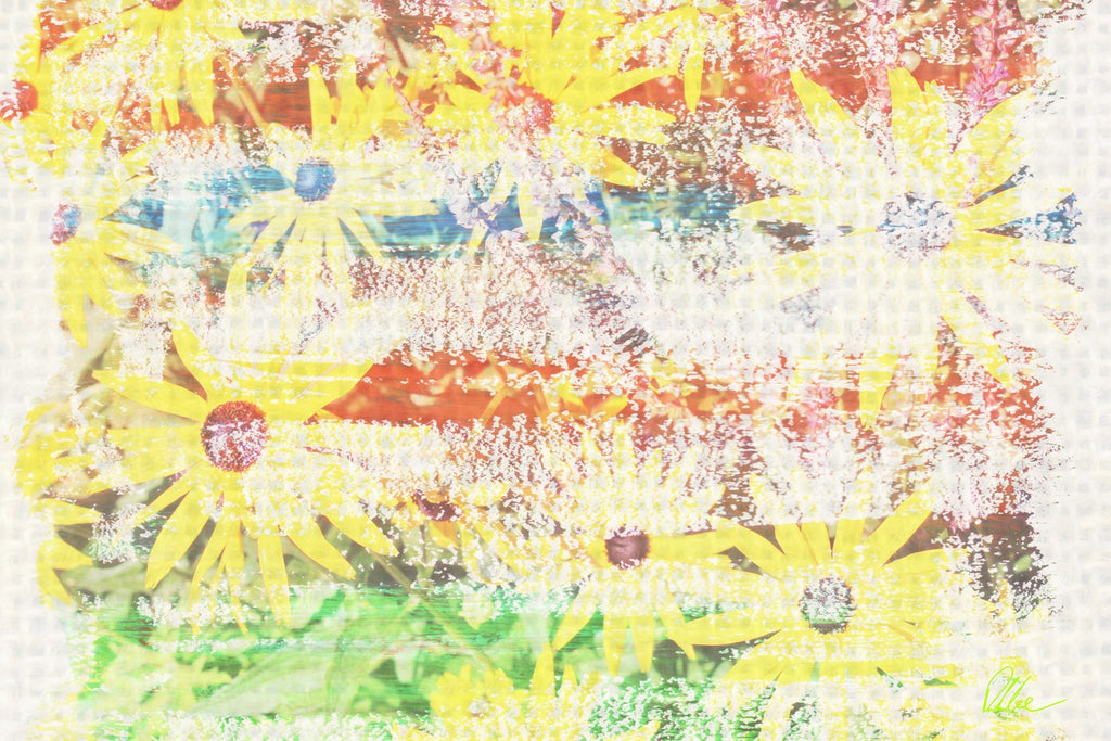 New Product Flower Burst  - Andrew Lee Home and Living Homeware