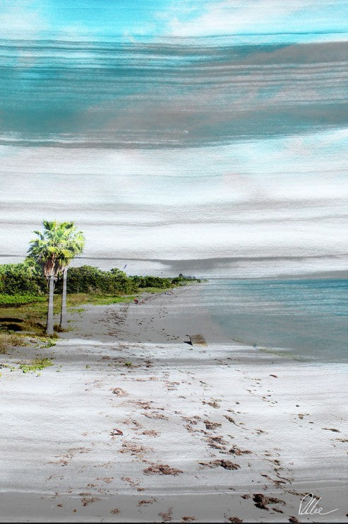 New Product S&B Beach  - Andrew Lee Home and Living Homeware