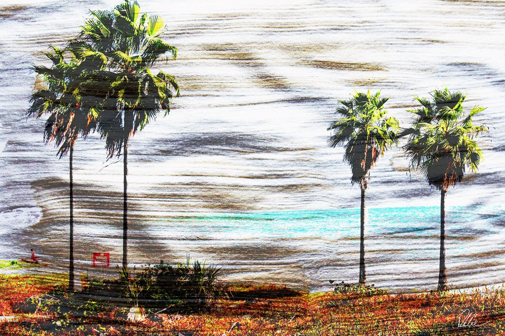 New Product S&G Palm  - Andrew Lee Home and Living Homeware