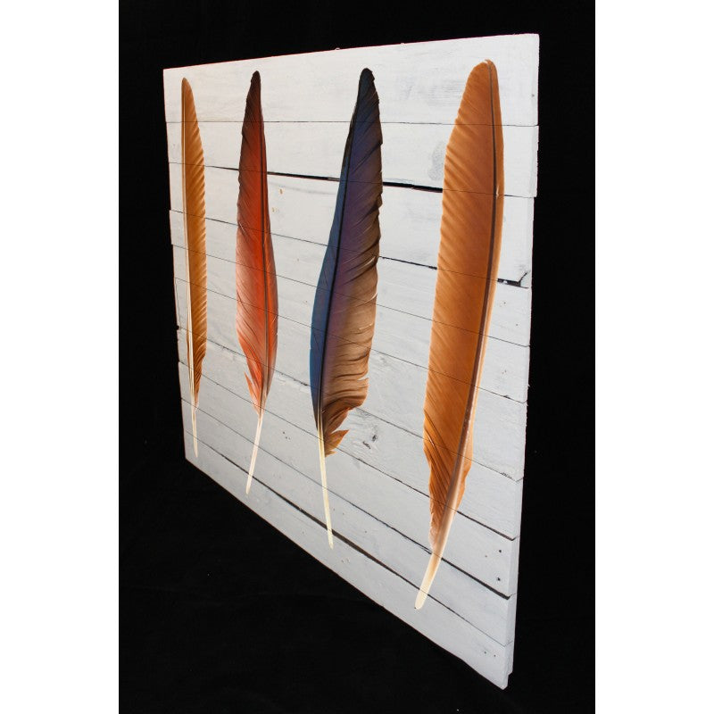 New Product Four set of beautiful and colourful bird feathers (Reclaimed White wood)  - Andrew Lee Home and Living Homeware