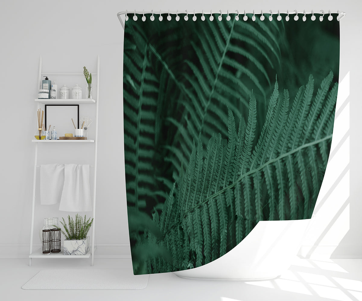 Deep green fern leaves texture. Fern in the forest. Plants background ...